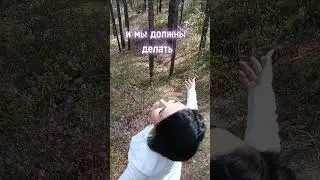Жизнь – это мгновение #самооценка #самооценкаженщины  #психология #психологонлайн #путьксебе