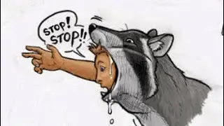 Vore Raccoon