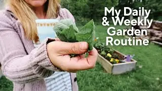 My Daily and Weekly Garden Routine
