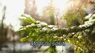 Adi Pop & Vlad Bucur - S-a nascut Emanuel ( official ) lyric and video