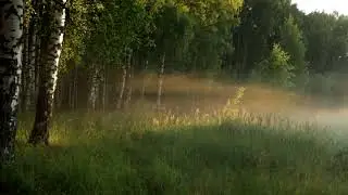 Озеро с молоком: Ефимьевское