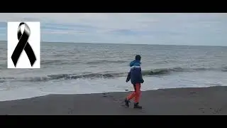 Murió Kreitor el hámster 😭