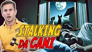 STALKING per CANI | Avv. Angelo Greco