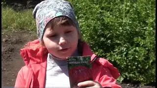 Вика сажает цветы