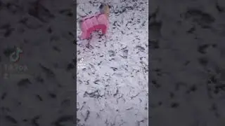 7 декабря 2021 г.