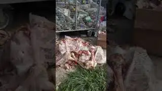 Екологічна НЕкультура в Путилі