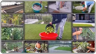 118. Tomatoes. My experience in one season.