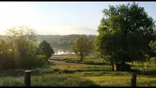 Купив ділянку для копу.
