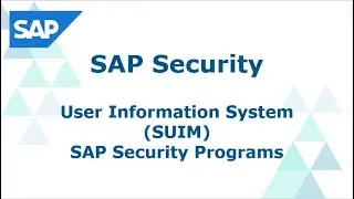 SAP Security User Information System SUIM | SAP Security Programs