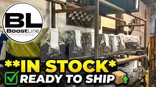 Boostline Short Blocks IN STOCK