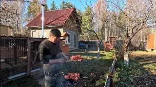 СОСЕДИ В