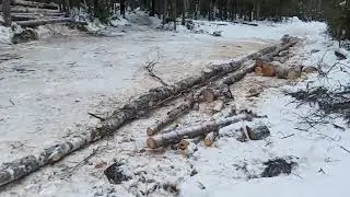 отпало колесо на мтз, работа в лесу