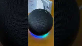 What do the Amazon Echo Lights Mean?