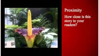 News value: What Makes Interesting Reading