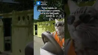 Акция «ИЮНЬСКИЙ СТАРТ» до 30.06  приехавшим к нам на вахту бонус 3000₽. Вакансия упаковщик!
