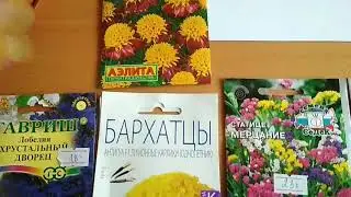 Обзор семян на 2021г.