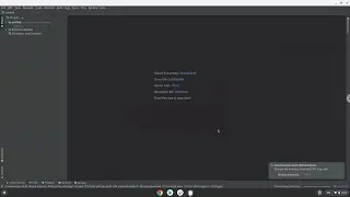How to install Intellij Idea Community 2022 on a Chromebook