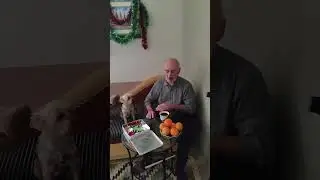 26 декабря 2023 г.