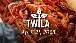 TWILA -- April 21, 2023