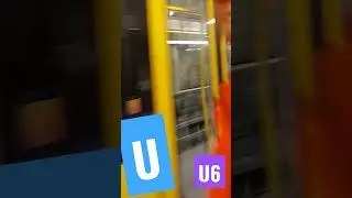 the U6 