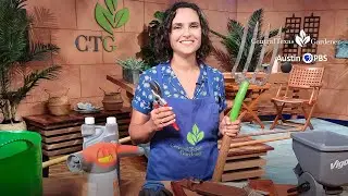 Fall Tools & Tasks: Marissa Kinsaul
