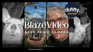 BlazeVideo A280 Trail Camera - Kangaroos, Possum, Emus and more...
