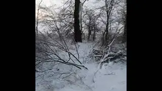 14.01.21г Январский вальдшнеп