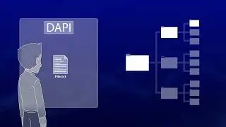 Evolution: The Future of Decentralized App Development & Data Contracts