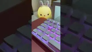 Rexus Daiva D68SF Max Keyboard Typing Test 🦦 #shorts