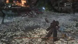 I Beat Bloodborne!