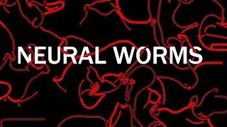 What are neural cellular automata?