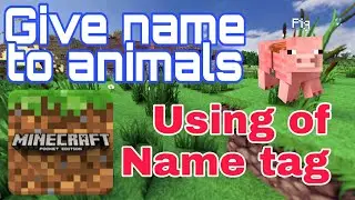 Minecraft name tag secret Use Name tag How to give name to villager and animals