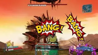 Borderlands 2 Can You Do Raids with the New Gaige Glitch ?