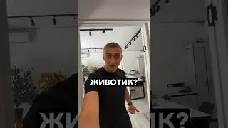 13 серпня 2024 р.