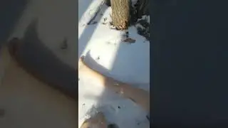 Резиновая Зина
