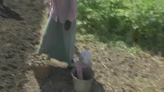 Приучайте детей с раннего детства к работе на земле.