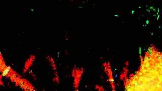 VID 20120204 175428