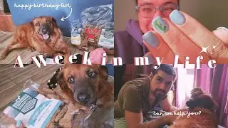 A WEEK IN MY LIFE: Getting used to vlogging again