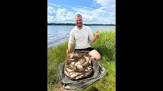 Море леща на незнакомом озере.