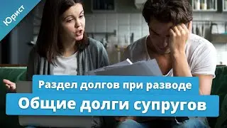 Shared Debt of Spouses. How are spouses' debts divided in a divorce? Division of Spouses' Debt in...
