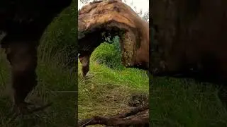 #природа #отдыхайкруглыйгод