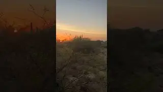 Закат в пустыни 🏜️ 🌵