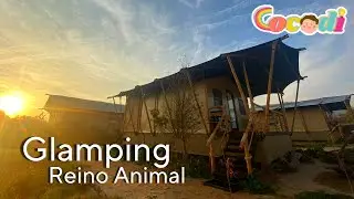 Nuevo Glamping en Reino Animal 🦒