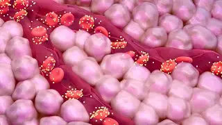 ¿Qué es la prueba de A1C?