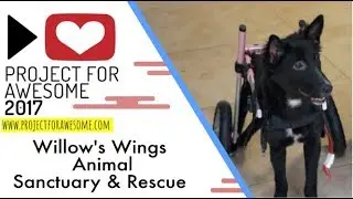 P4A 2017 - Willow's Wings Animal Sanctuary & Rescue