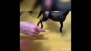 BJD Doll black horse БЖД кукла шарнирная черная лошадь конь