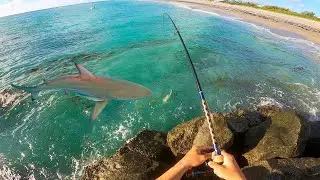 Florida's SECRET Jetty Holds FEROCIOUS Predators.. *I Should Have Reeled Faster*