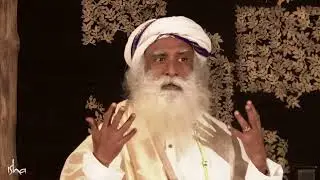 How to Stay Motivated Every Day - Sadhguru’s Powerful Insights