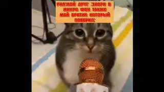 мем #мемы #приколы #братик #микрофон