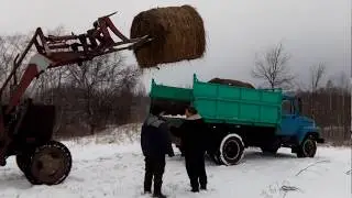 Авантюра с сеном.